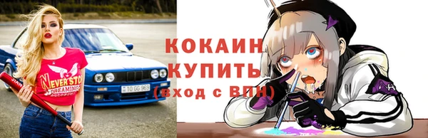 прущие грибы Зерноград
