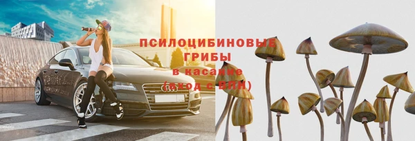 прущие грибы Зерноград