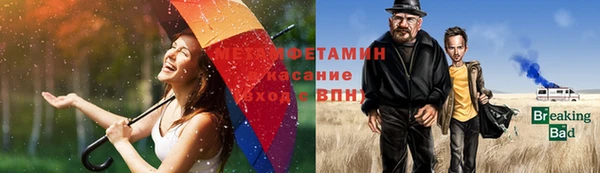 прущие грибы Зерноград