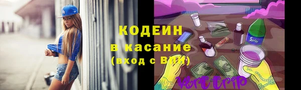 прущие грибы Зерноград
