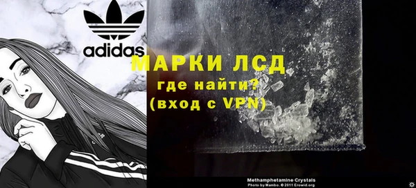 прущие грибы Зерноград