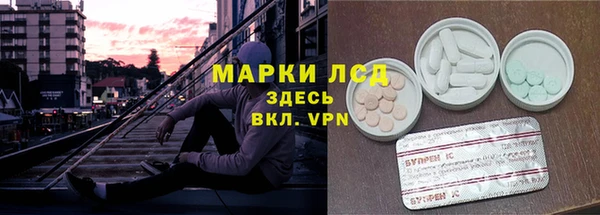 ПСИЛОЦИБИНОВЫЕ ГРИБЫ Зеленокумск