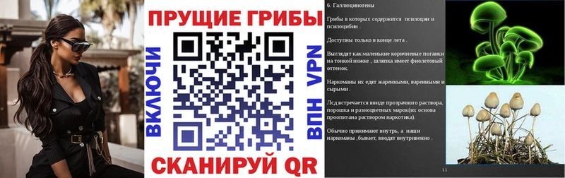 Купить  Дзержинский  Псилоцибиновые грибы прущие грибы 